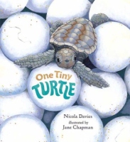 One_tiny_turtle